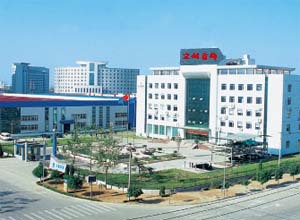 厂家直销民族风美女式亚马孙沙金镯子镀金手饰铜手镯批发详情10