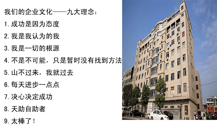 亚马逊新款波西米亚风多层贝壳项链女时尚米珠项链锁骨链套装详情9