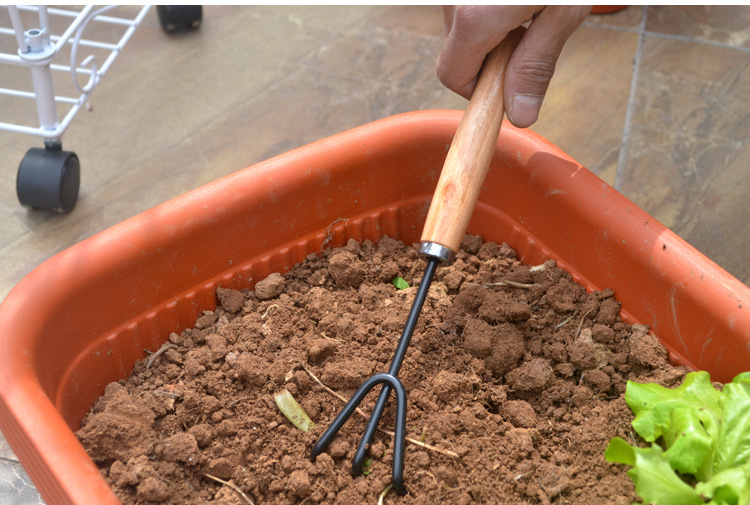 大号园艺工具三件套装园林阳台种菜花盆养花铲子耙子三齿叉铁质详情11