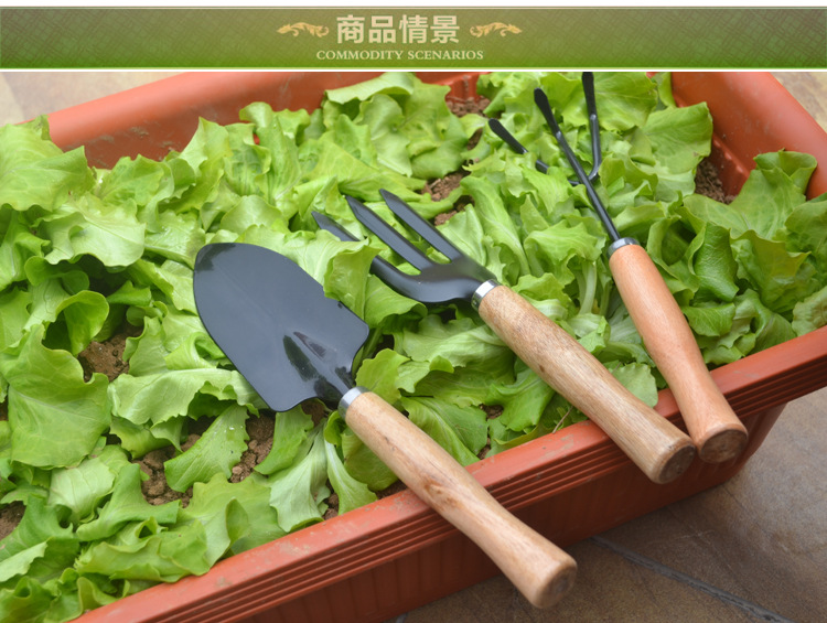 大号园艺工具三件套装园林阳台种菜花盆养花铲子耙子三齿叉铁质详情2