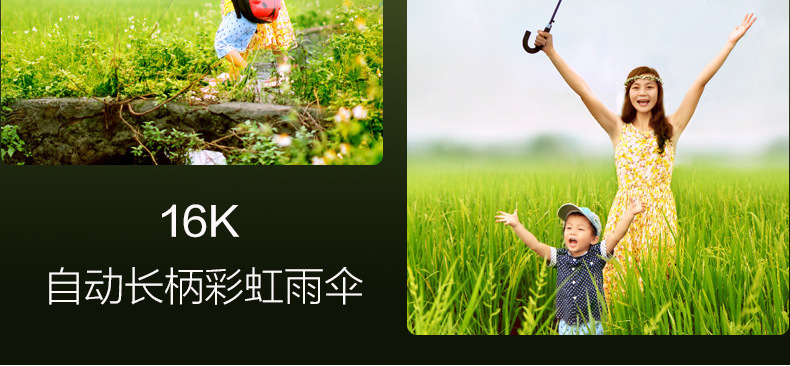 日韩创意16骨彩虹伞弯柄自动伞圆骨直杆伞拒水碰击布可印刷LOGO详情8