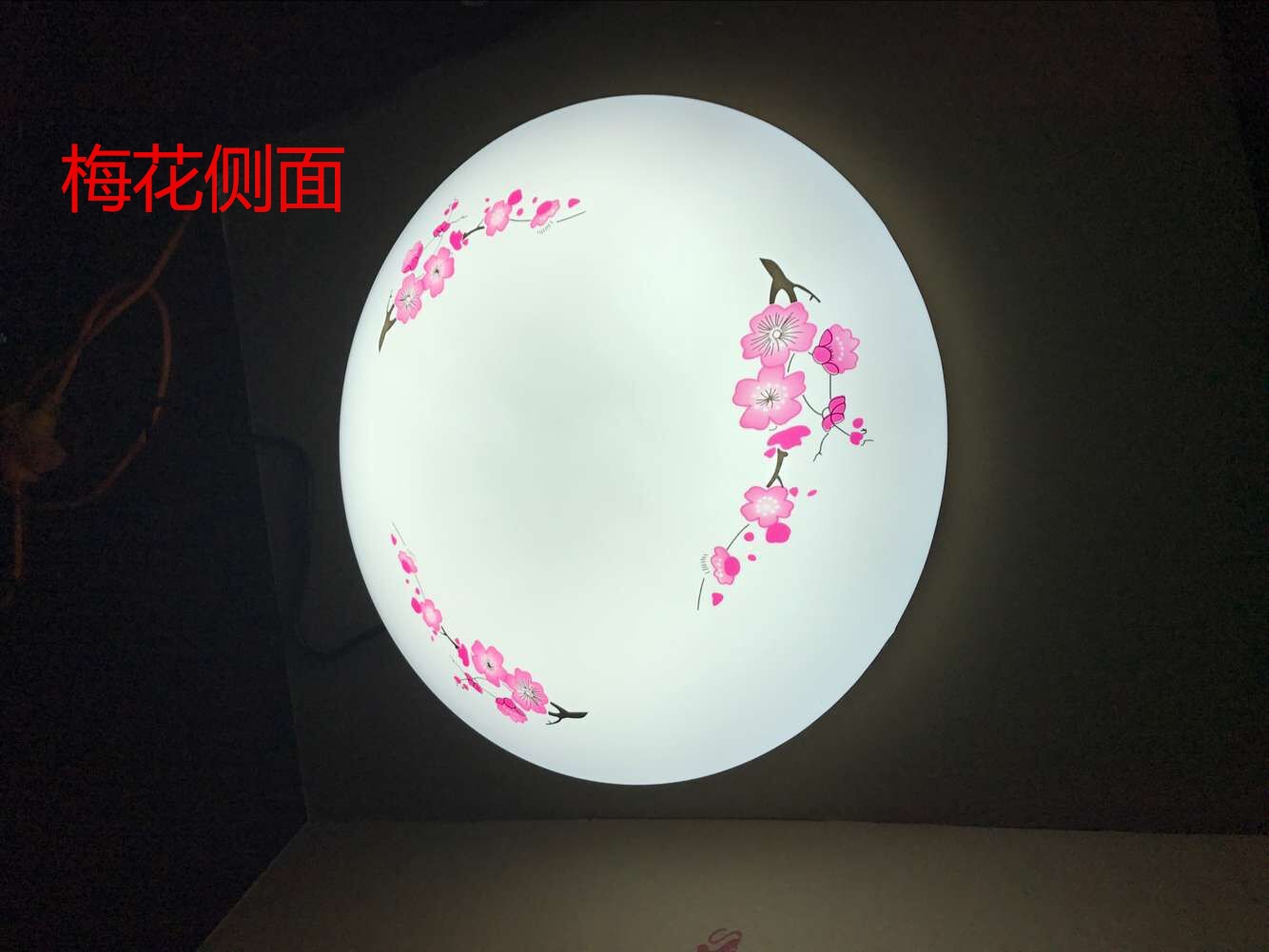 Modern and simple bedroom led ceiling lights, living room and balcony lighting fixtures, home acrylic round led lights creativity pic 31