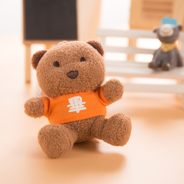 Colorful Bear Teddy Bear Dolls, 365 surnames with printed logos, date bears, plush toys, pendants, gift bears pic 20