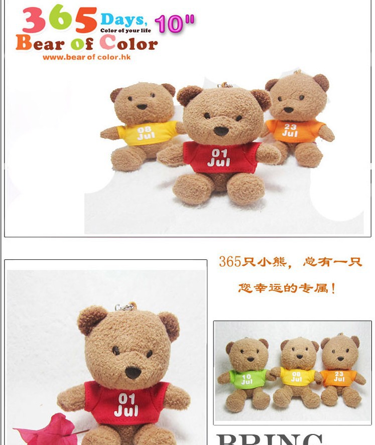 Colorful Bear Teddy Bear Dolls, 365 surnames with printed logos, date bears, plush toys, pendants, gift bears pic 16