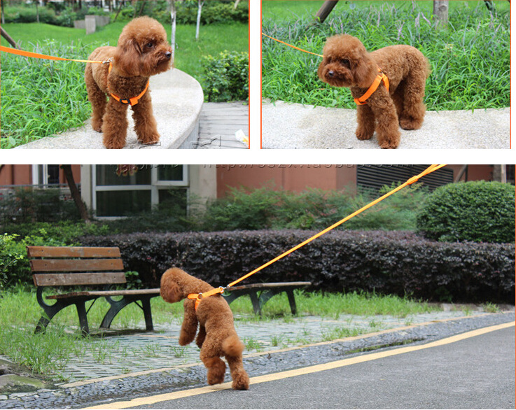 USB charging LED light-up pet chest and back strap, dog back strap, flashing pet chest strap, luminous dog strap, leash chest and back pic 2