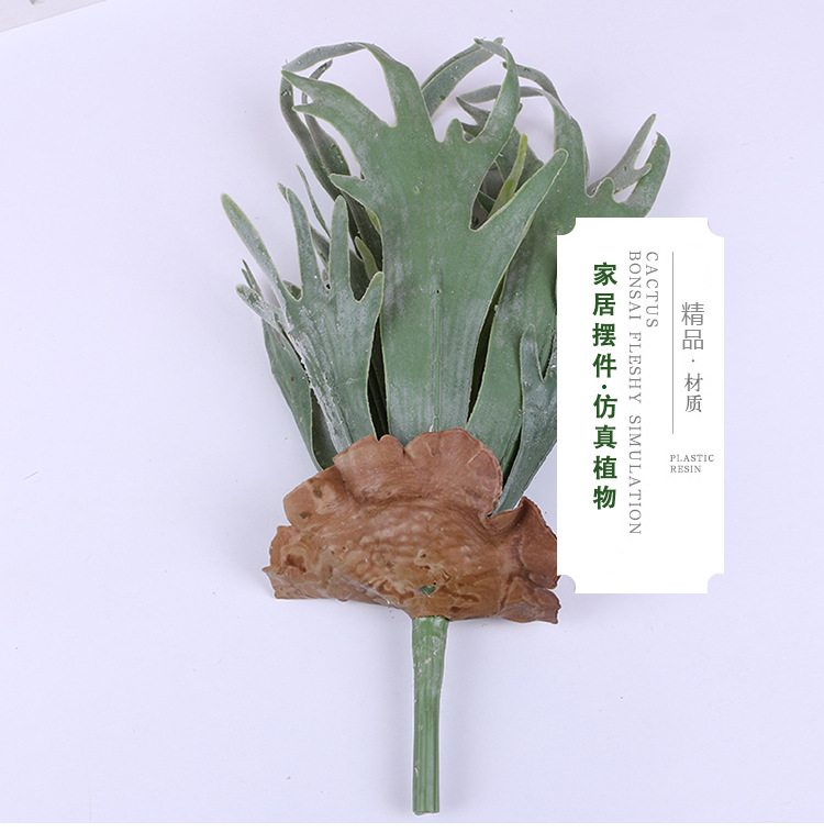 热带鹿角叶植物墙配材点缀多肉仿真植物墙配材塑料植物盆栽批发详情4