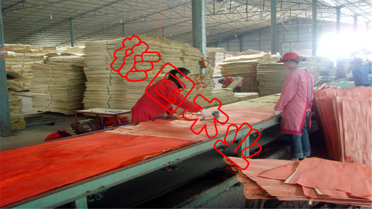 厂家货源建筑模板工地工程酚醛胶镜面胶合板黑板松木建筑木模板详情39