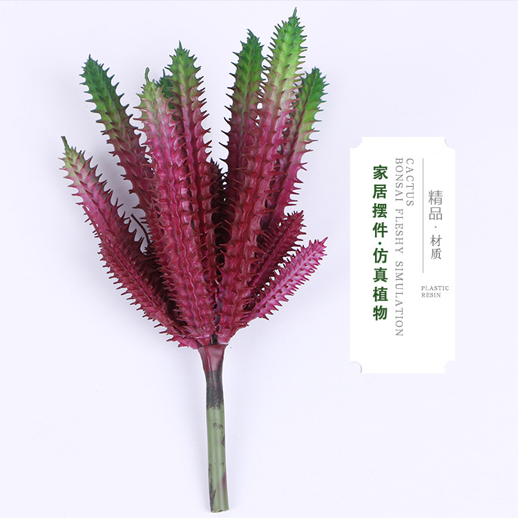 多肉植物蝴蝶兰仿真花盆景儿童盆栽多肉仿真花种子装饰摆件详情4