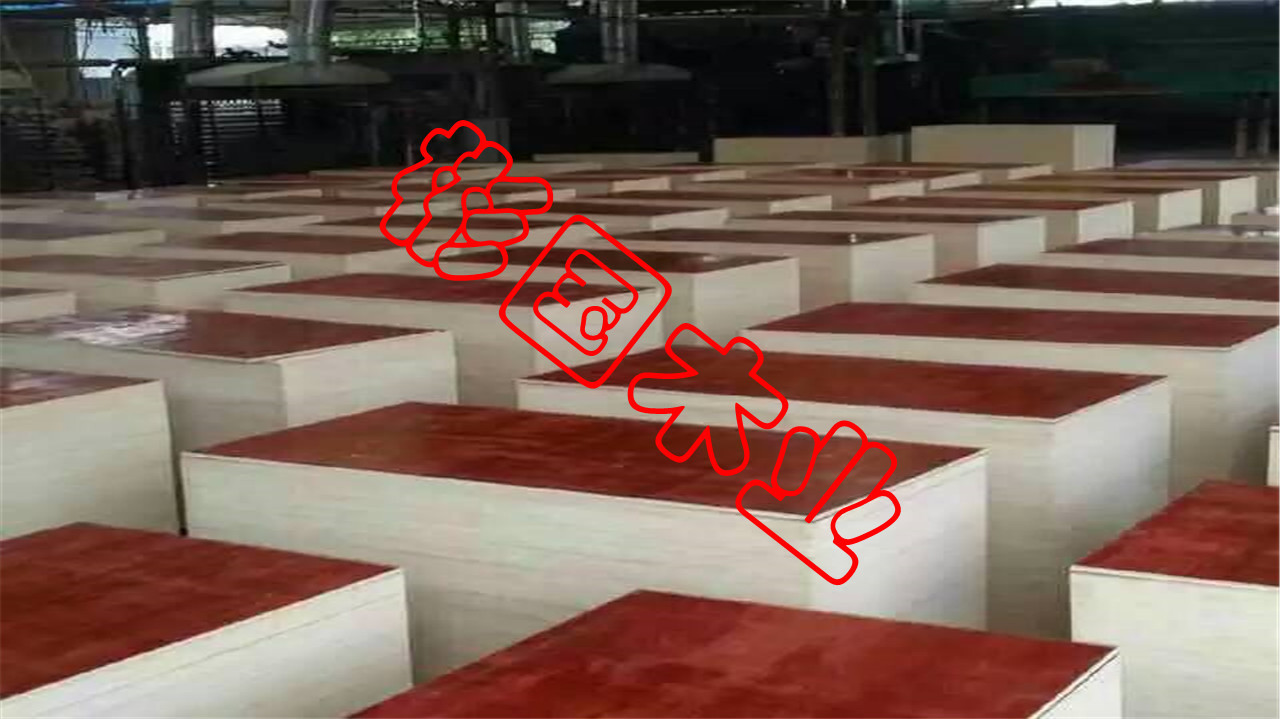 厂家货源建筑模板工地工程酚醛胶镜面胶合板黑板松木建筑木模板详情28