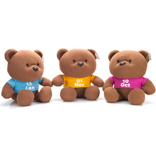 Colorful Bear Teddy Bear Dolls, 365 surnames with printed logos, date bears, plush toys, pendants, gift bears pic 5