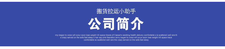 Hand-pulled cart, supermarket shopping cart, elderly grocery shopping cart, stair-climbing cart, three-wheeled folding trolley, trolley, small trailer pic 18