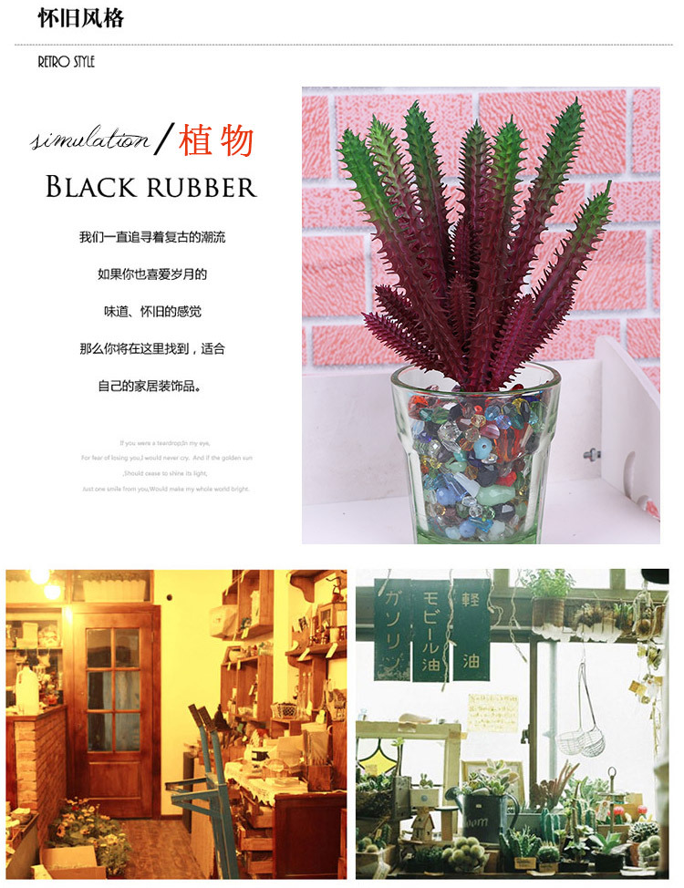 多肉植物蝴蝶兰仿真花盆景儿童盆栽多肉仿真花种子装饰摆件详情5