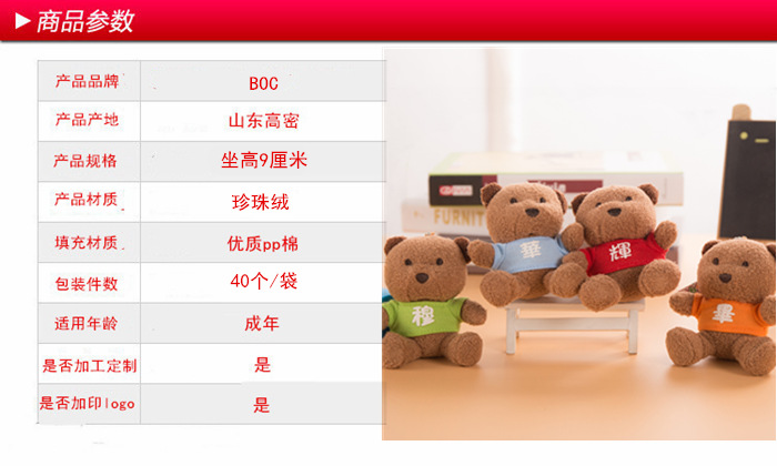 Colorful Bear Teddy Bear Dolls, 365 surnames with printed logos, date bears, plush toys, pendants, gift bears pic 15