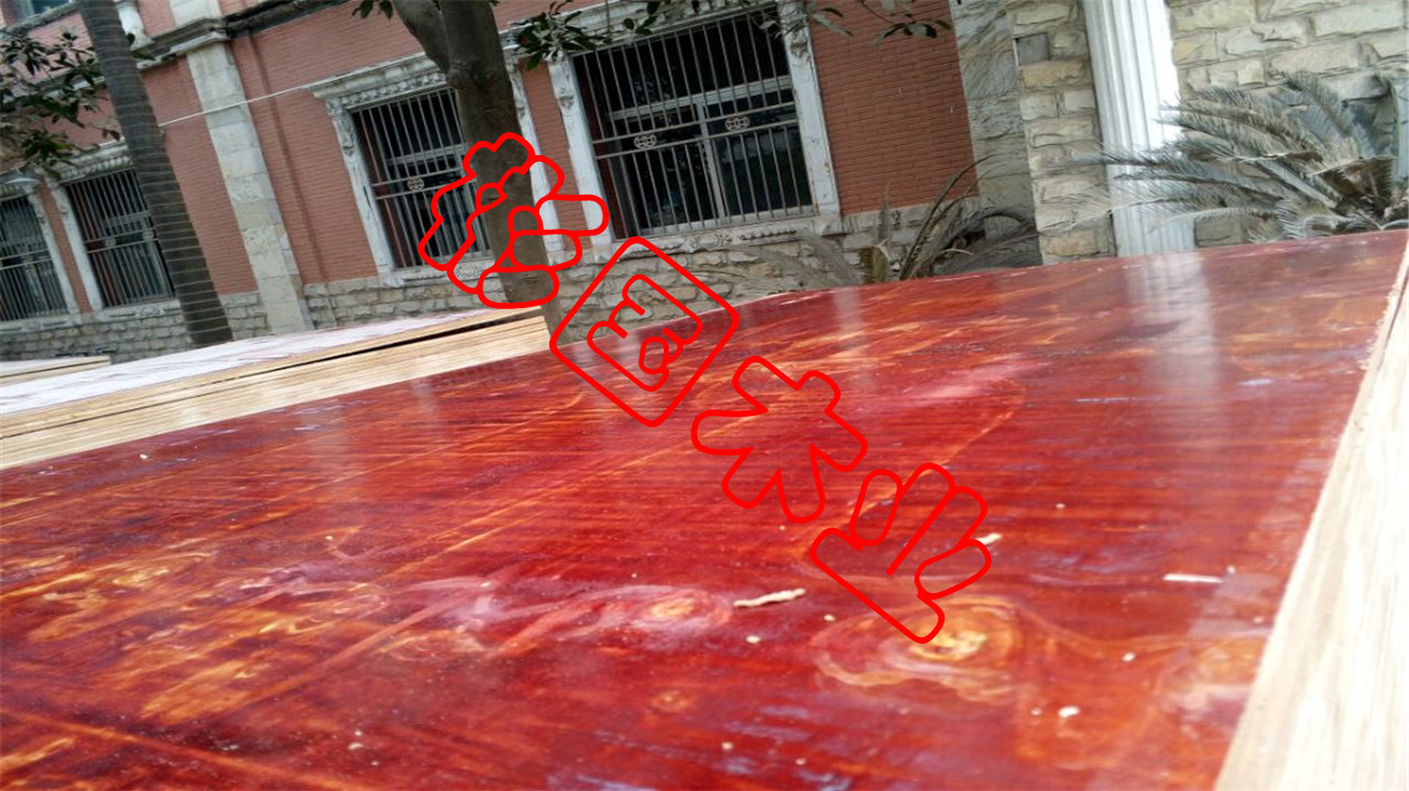 厂家货源建筑模板工地工程酚醛胶镜面胶合板黑板松木建筑木模板详情33