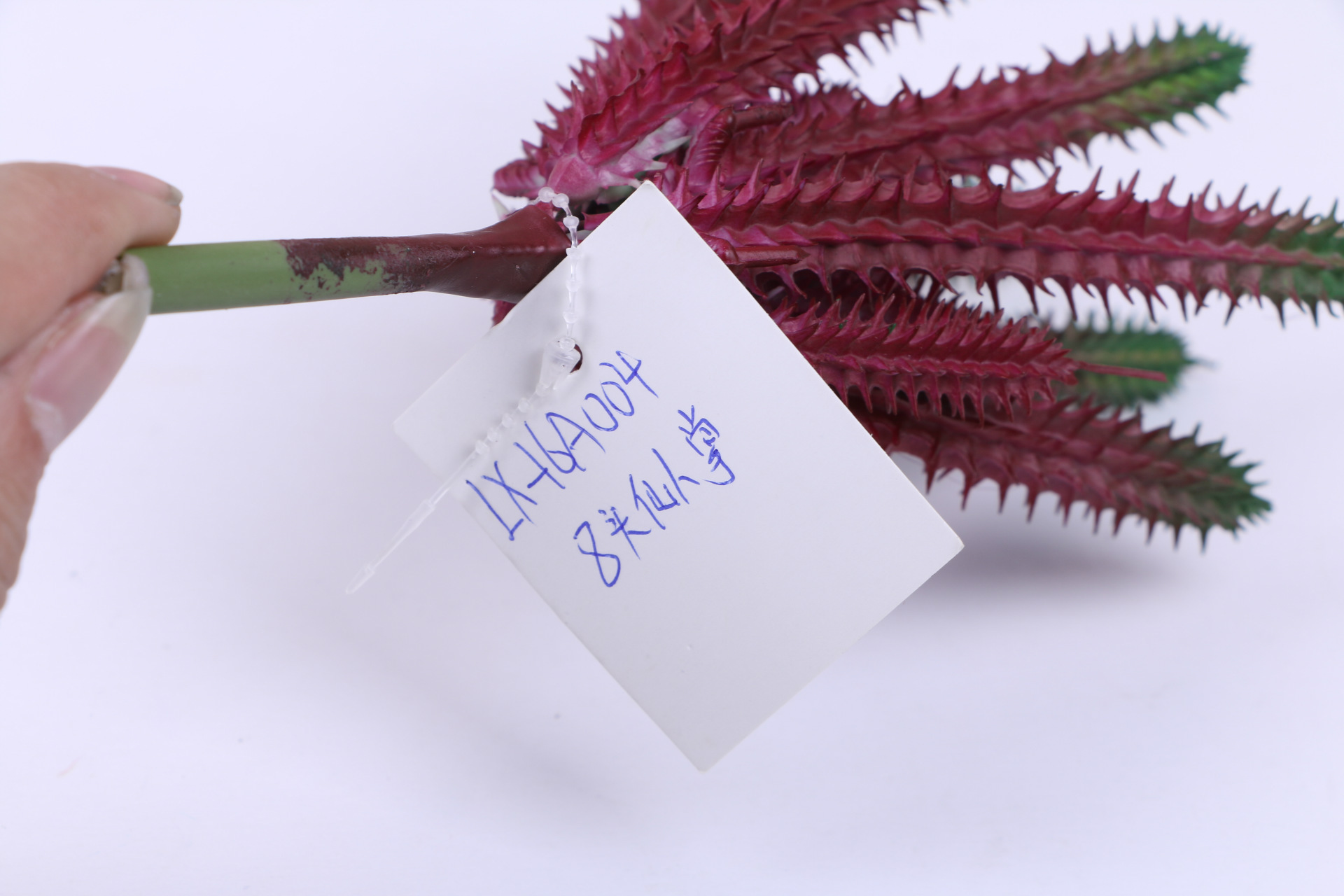 多肉植物蝴蝶兰仿真花盆景儿童盆栽多肉仿真花种子装饰摆件详情9