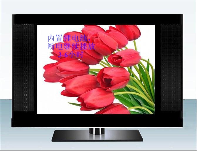We supply 17-inch built-in digital TV DVB-T2 LCD TVS and 12V DC home color TVS pic 12