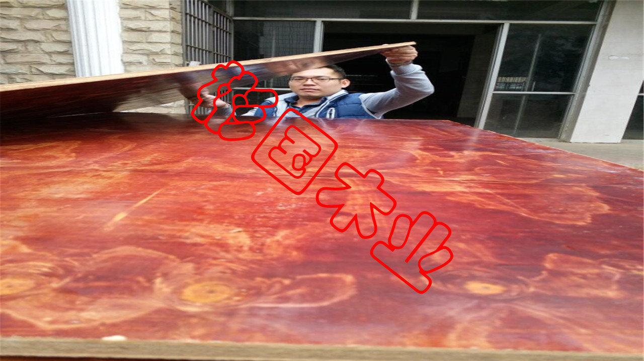 厂家货源建筑模板工地工程酚醛胶镜面胶合板黑板松木建筑木模板详情29