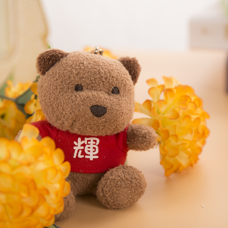 Colorful Bear Teddy Bear Dolls, 365 surnames with printed logos, date bears, plush toys, pendants, gift bears pic 19