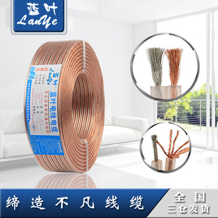 Blue Leaf National standard 2.54 square copper core wire for home decoration, 1.5/6/10 pure copper flame-retardant BV wire pic 1