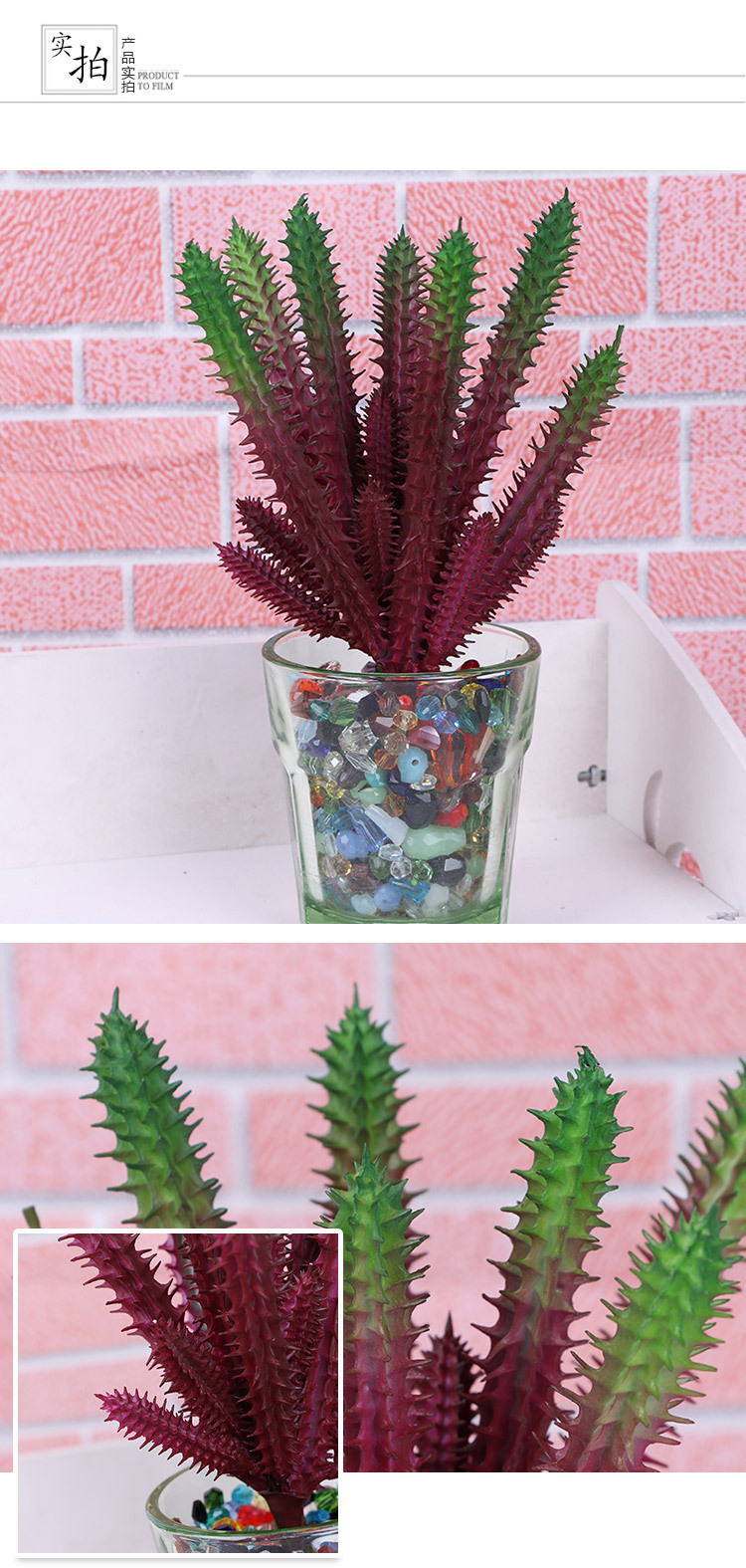 多肉植物蝴蝶兰仿真花盆景儿童盆栽多肉仿真花种子装饰摆件详情7