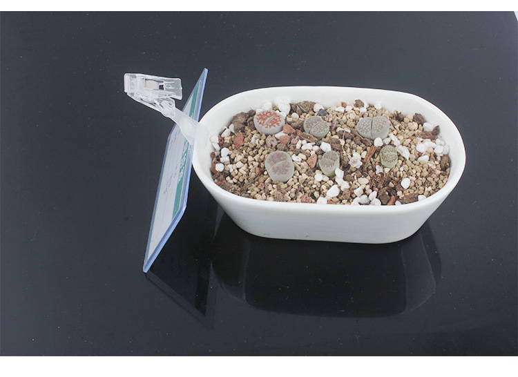 pvc price tag cover, supermarket commodity price tag transparent bag, plastic price tag, shopping mall price tag protective cover pic 10