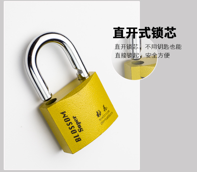 Wholesale of plum blossom locks, padlocks, all-copper lock cores, imitation copper locks, through-opening iron padlocks, door and window locks, luggage locks, and drawer locks pic 8