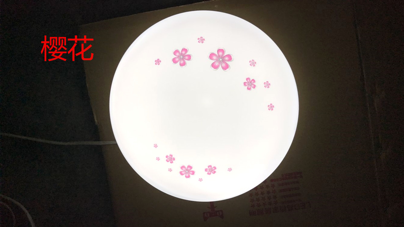 Modern and simple bedroom led ceiling lights, living room and balcony lighting fixtures, home acrylic round led lights creativity pic 33