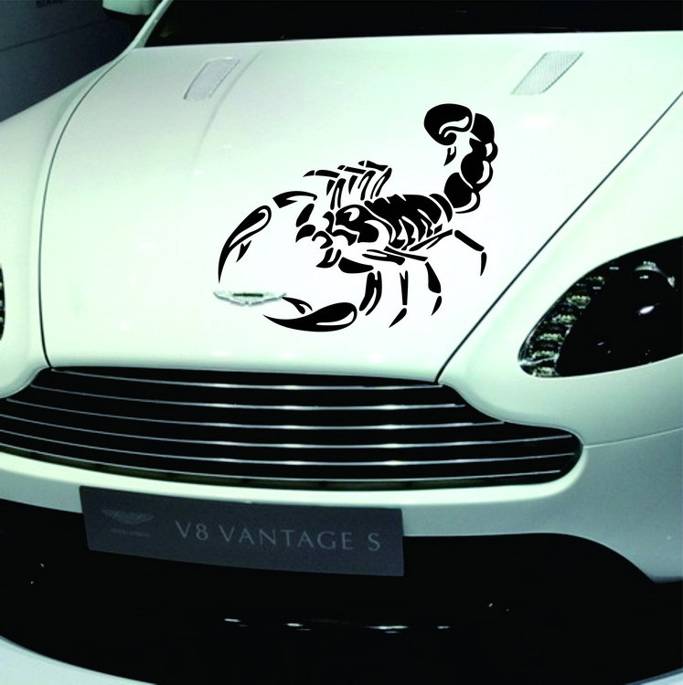 Car scorpion decals, scorpion engine hood spare tire stickers, 3D car stickers, scorpion car stickers pic 1