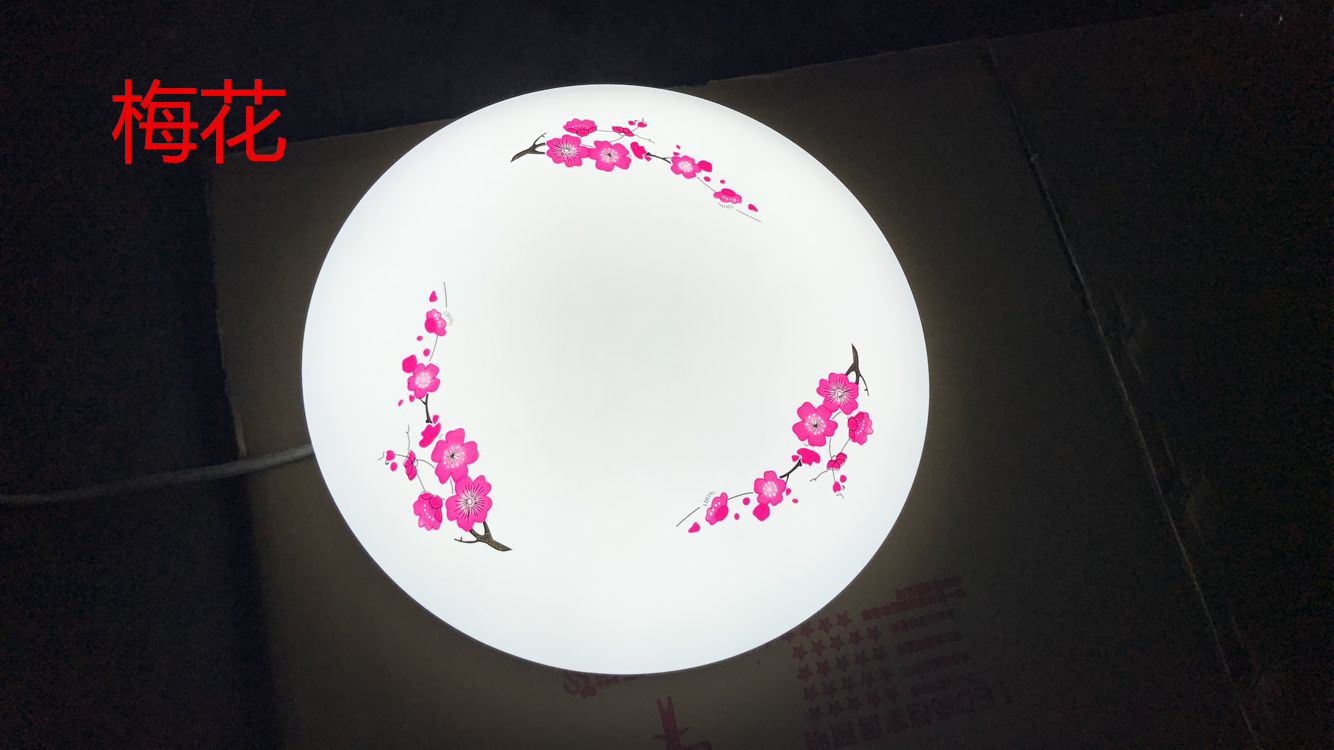 Modern and simple bedroom led ceiling lights, living room and balcony lighting fixtures, home acrylic round led lights creativity pic 30