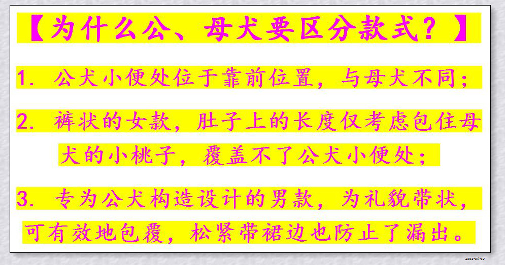 DONO狗狗生理裤姨妈巾 公狗纸尿裤尿不湿 一次性宠物用品中宠尿垫详情24