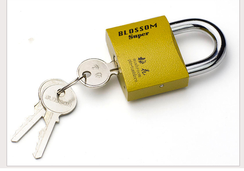 Wholesale of plum blossom locks, padlocks, all-copper lock cores, imitation copper locks, through-opening iron padlocks, door and window locks, luggage locks, and drawer locks pic 10