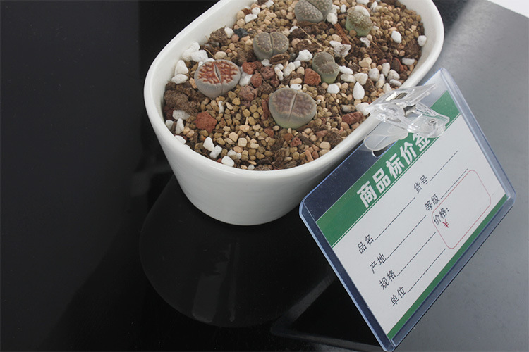 pvc price tag cover, supermarket commodity price tag transparent bag, plastic price tag, shopping mall price tag protective cover pic 11