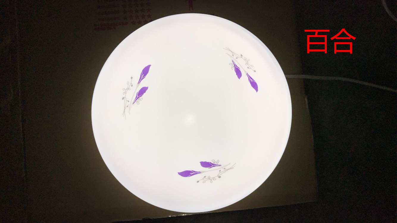 Modern and simple bedroom led ceiling lights, living room and balcony lighting fixtures, home acrylic round led lights creativity pic 25