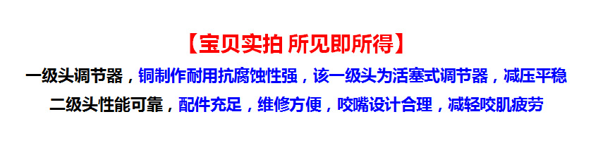 浮潜 呼吸器 咬嘴 一级减压阀+二级调节器 潜水呼吸器 二级头详情1