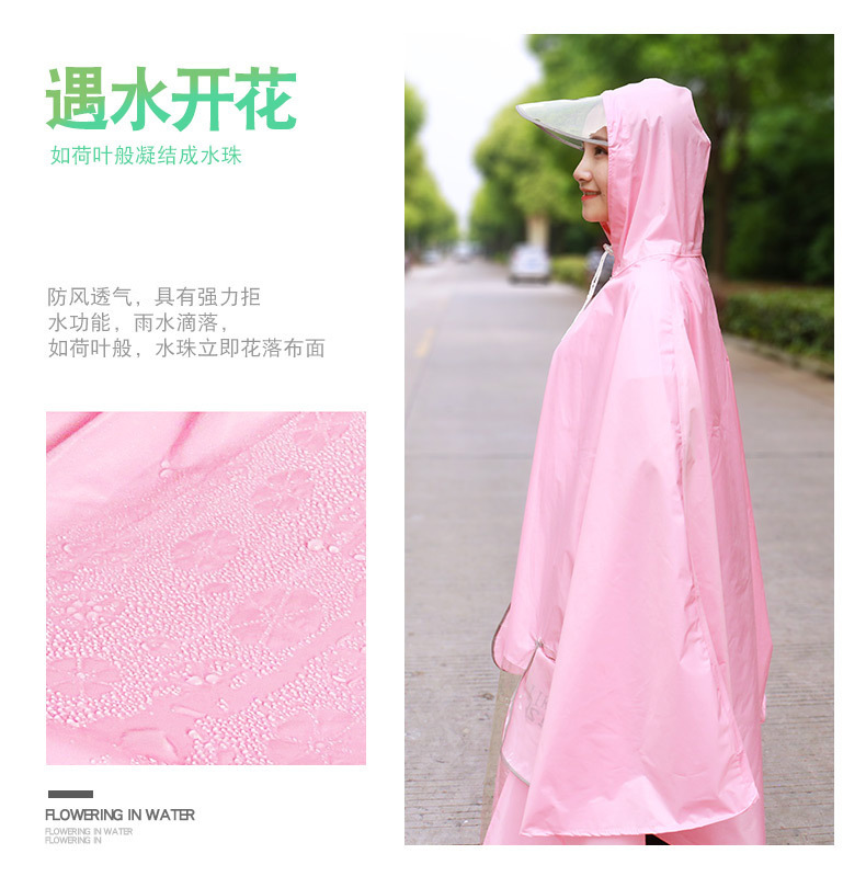 4210671962_529070826