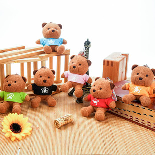 Colorful Bear Teddy Bear Dolls, 365 surnames with printed logos, date bears, plush toys, pendants, gift bears pic 4