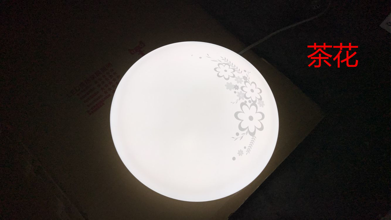 Modern and simple bedroom led ceiling lights, living room and balcony lighting fixtures, home acrylic round led lights creativity pic 26