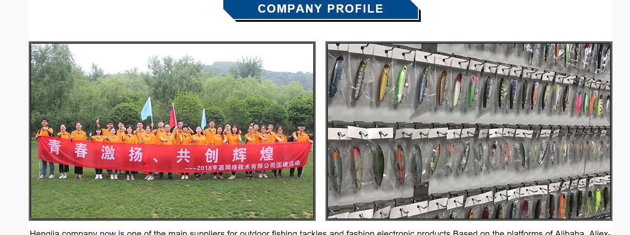 New 7-segment 10CM multi-segment fish bait from Lure bait wholesale, Mino hard bait, Hengjia vib fish bait pic 49