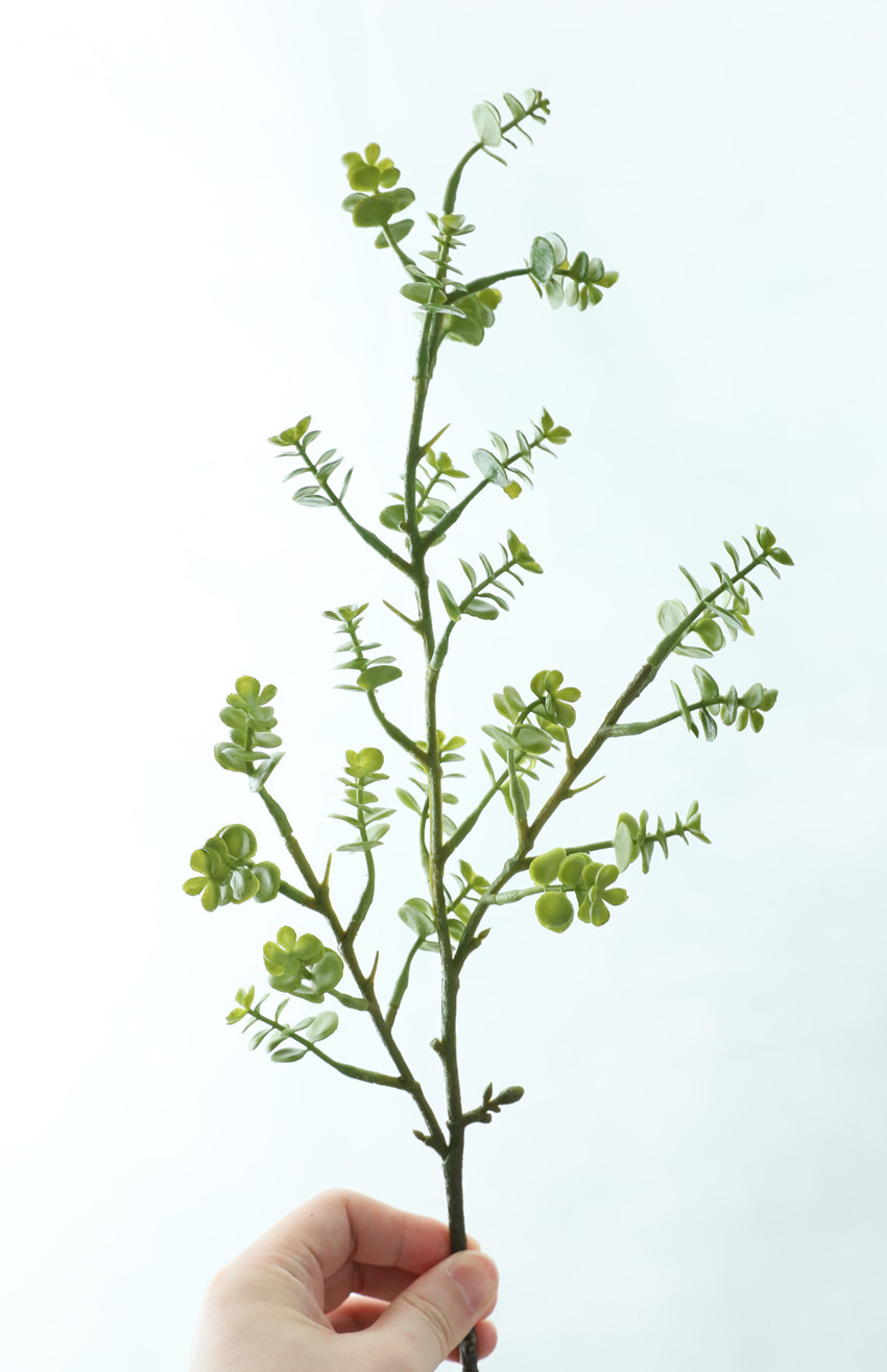 Artificial flower plastic succulent branches, soft rubber eucalyptus green plants, single plant, home decoration flower material matching pic 5