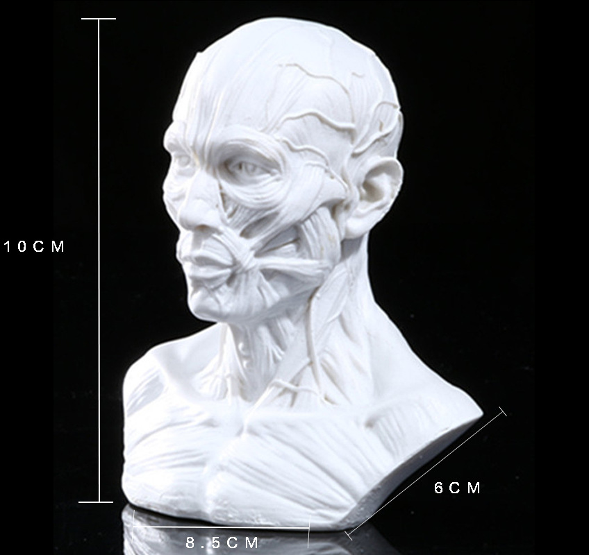 骷髅头-140 (3)_副本