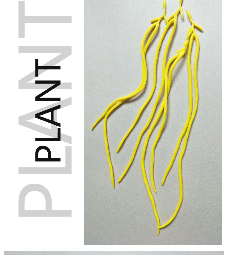 厂家供应仿真植物长豆配件花店装饰手捧花原材料批发婚庆用仿真枝叶园艺装饰用品详情6