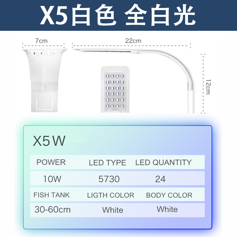 X5 白色 全白光
