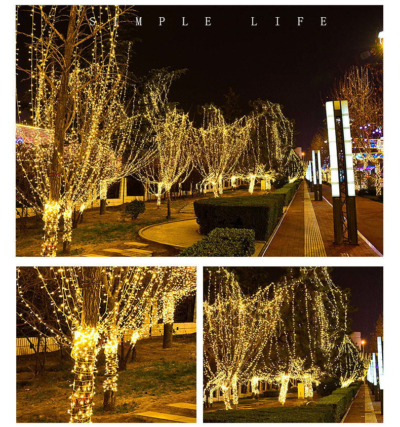 厂家批发led灯串户外满天星彩灯圣诞灯婚庆串灯节日装饰灯闪灯详情20
