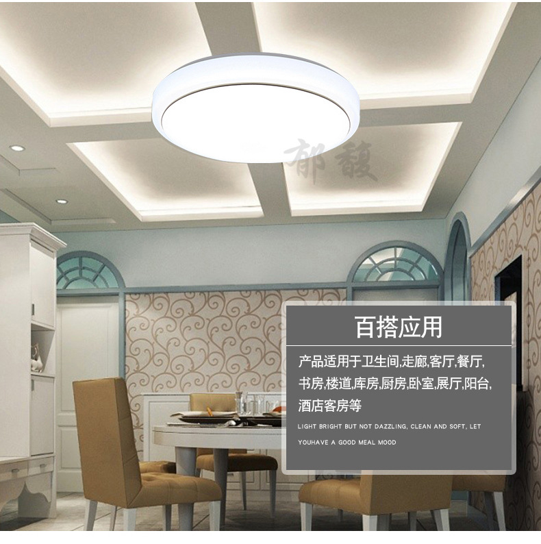 Modern and simple bedroom led ceiling lights, living room and balcony lighting fixtures, home acrylic round led lights creativity pic 19