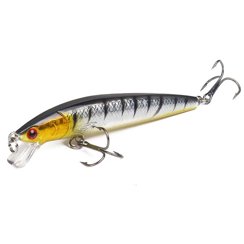 Luya bait Cross border Minnow bait 10cm/9g floating ring bead simulation bait Hard bait Bait bait bait bait bait bait fishing gear products pic 24