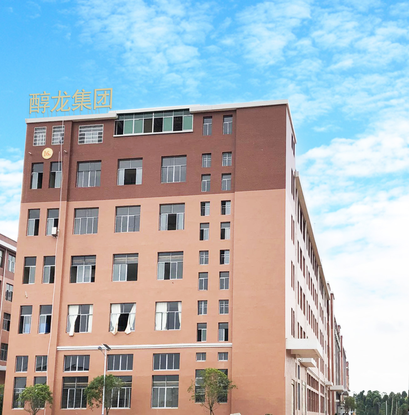 醇龙宇航员小学生书包新款1-6年级卡通减负儿童书包印字logo批发详情20