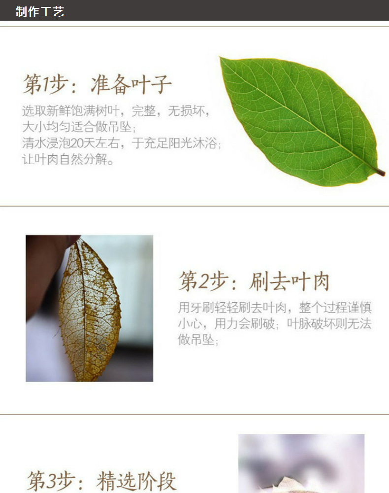 森系ins风树叶项链 欧美流行天然真树叶锁骨链个性剪切小树叶项链详情15