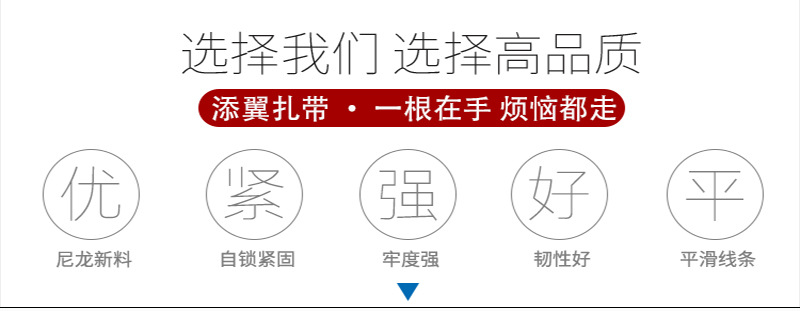 尼龙扎带nyloncabletie外贸中性包装100条150*200捆绑塑料扎带详情14