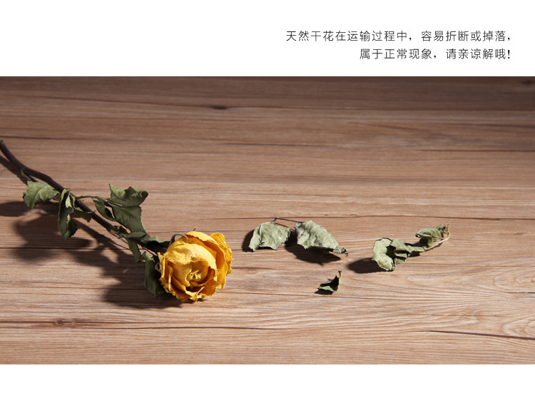 北欧风简约陶瓷花瓶摆件白色素烧干花花插家居装饰摆设厂家批发详情15