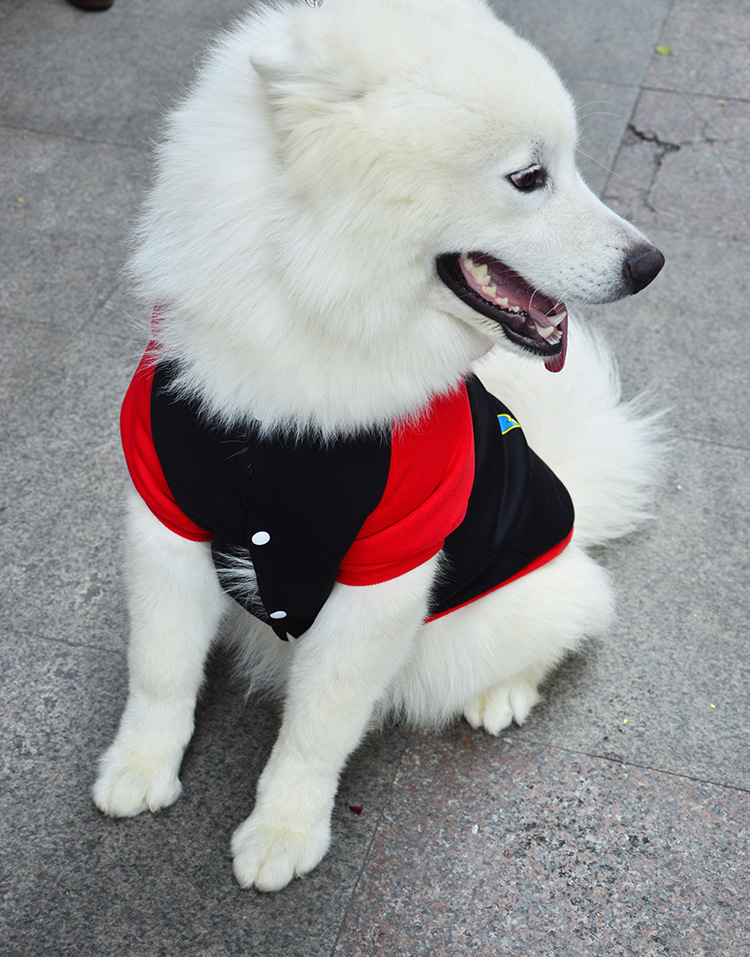 Fabricante al por mayor cachorro grande golden reather satmo husky edge fake cat ropa de otoño e invierno productos para mascotas ropa pic 24